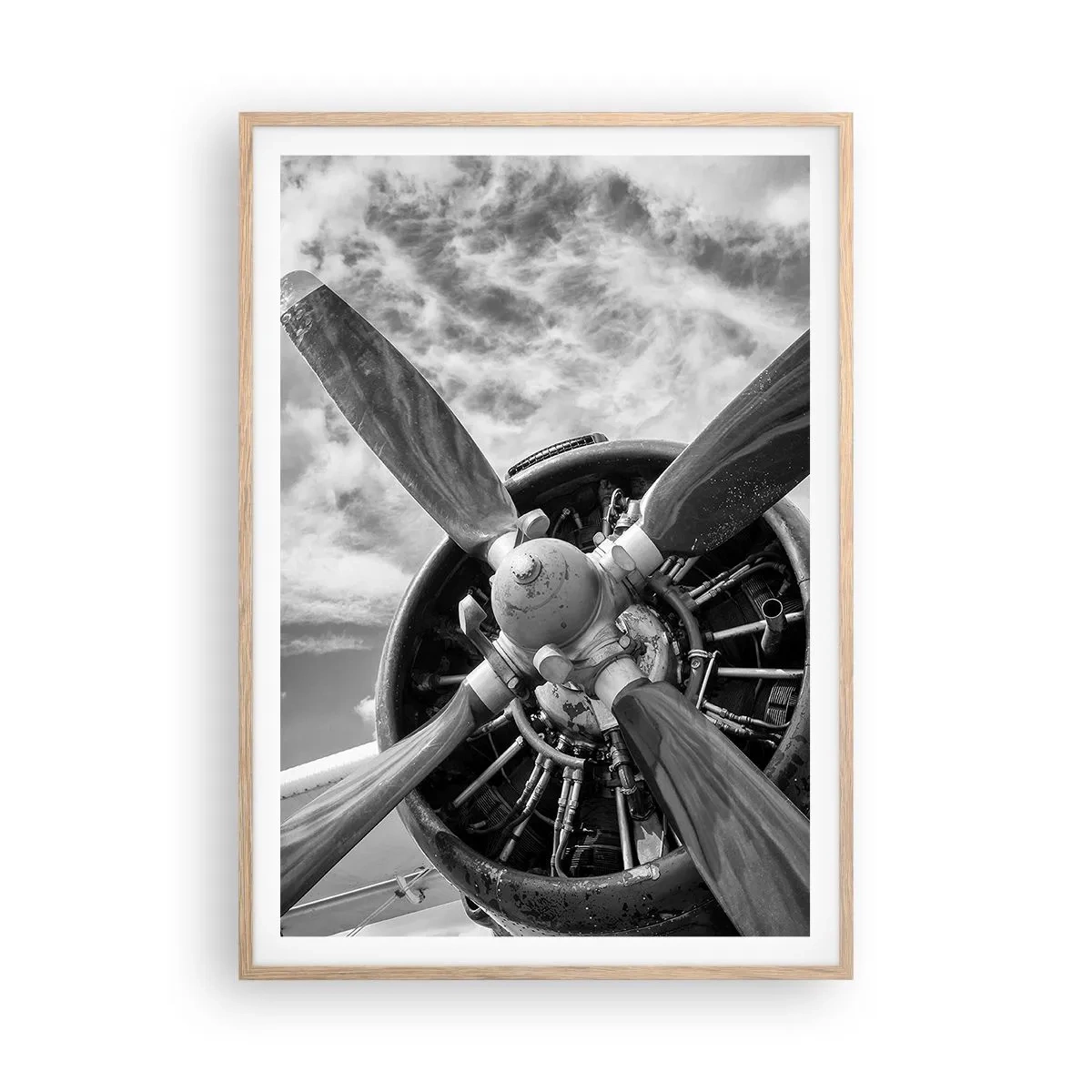 Poster in cornice rovere chiaro - Il dominatore dell'aria - 70x100 cm