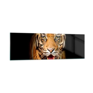 Quadro su vetro - Una tigre con la bocca aperta su uno sfondo nero - 160x50cm - Cuore selvatico - Decorazione murale moderna per soggiorno e camera da letto ARTTOR