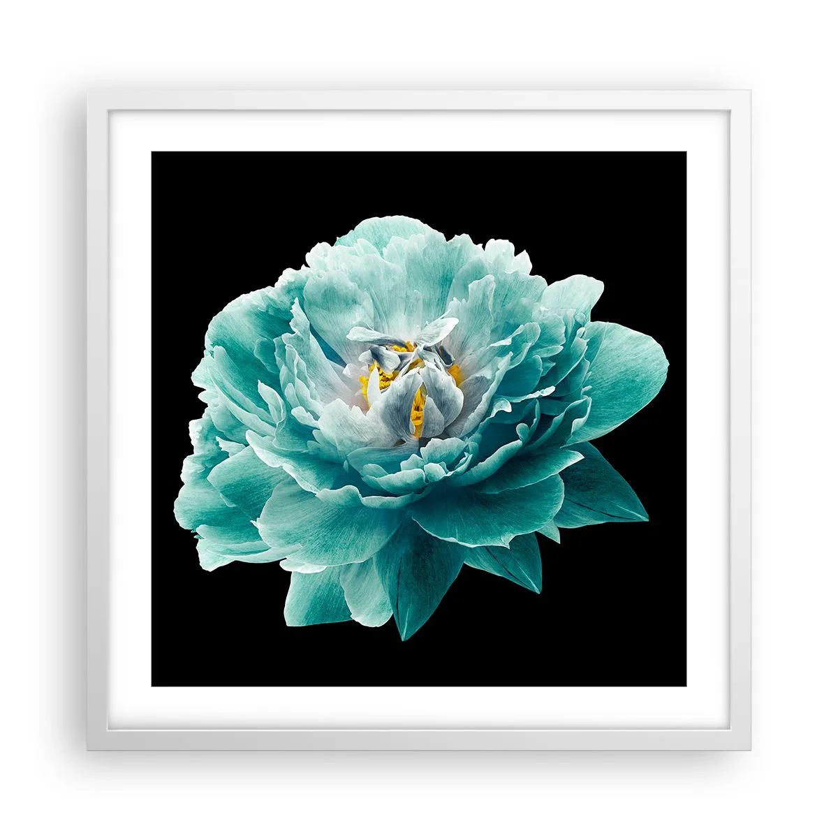Poster in cornice bianca - Petali blu e oro - 50x50 cm