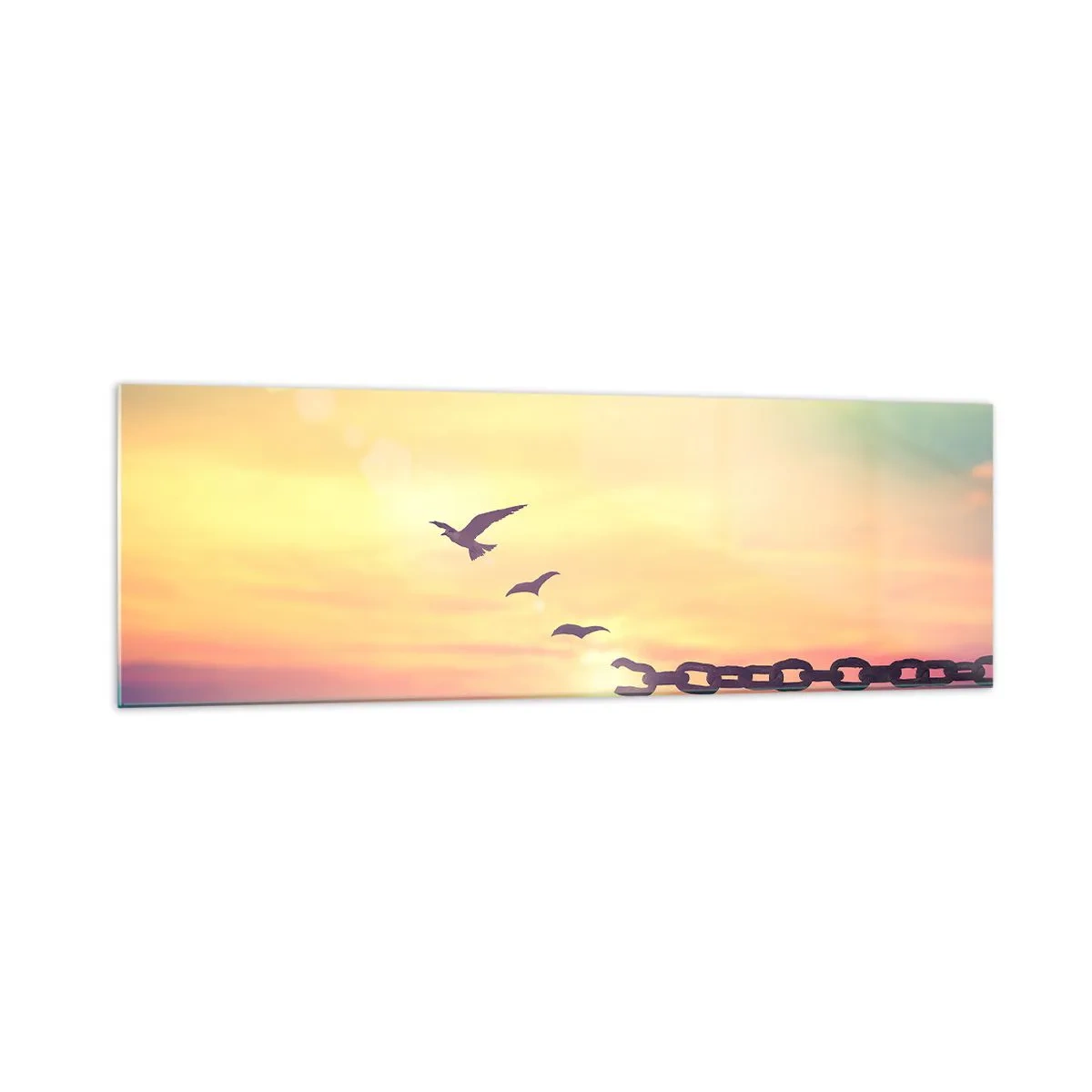 Quadro su vetro - Simbolo di libertà con uccelli e una catena spezzata - 160x50cm - La vittoria della libertà - Decorazione murale moderna per soggiorno e camera da letto ARTTOR