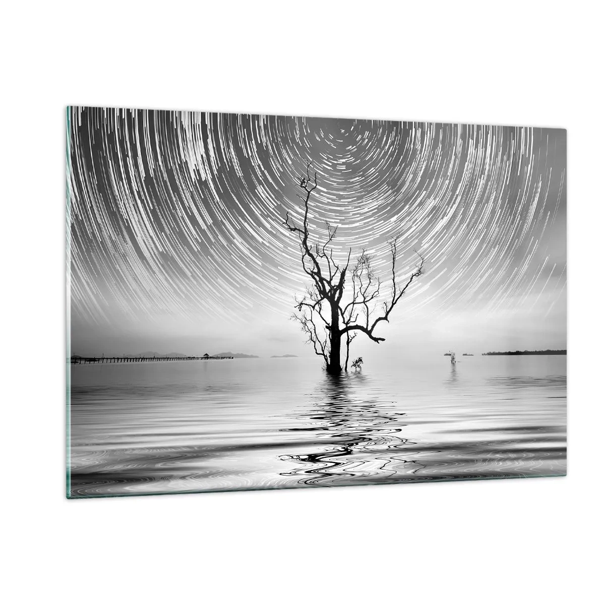 Quadro su vetro - Paesaggio in bianco e nero con un albero e strisce di stelle - 120x80cm - Sinfonia della natura - Decorazione murale moderna per soggiorno e camera da letto ARTTOR