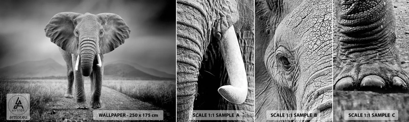 Campione di Fotomurale Adesivo Deluxe Sticker - Il padrone di casa dà il benvenuto - Elefante, Animali, Paesaggio - 100x30 cm