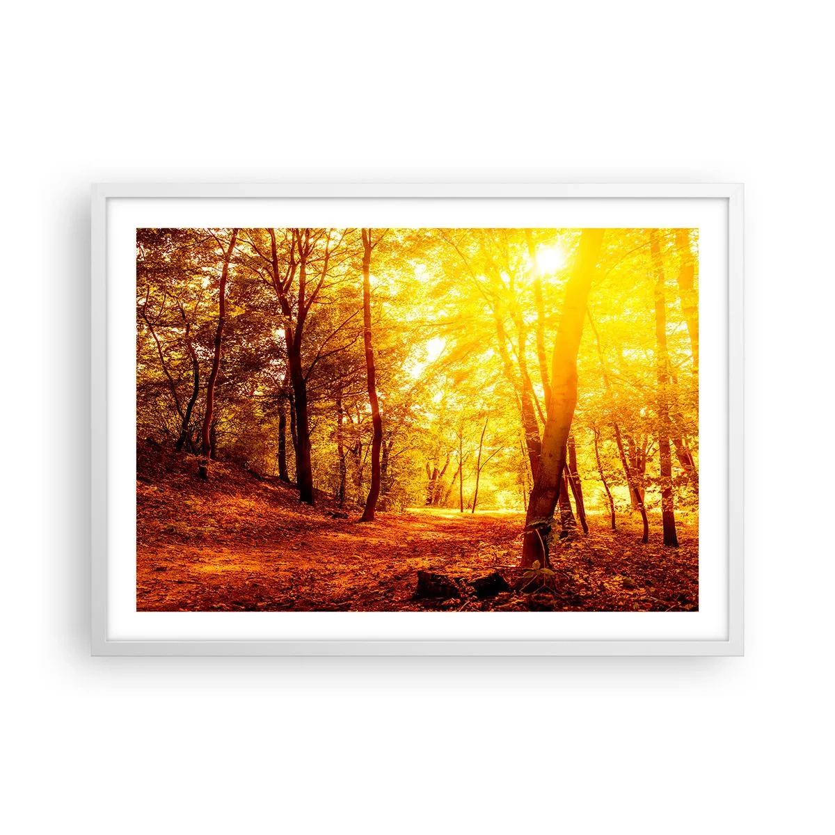 Poster in cornice bianca - Verso la radura dorata - 70x50 cm