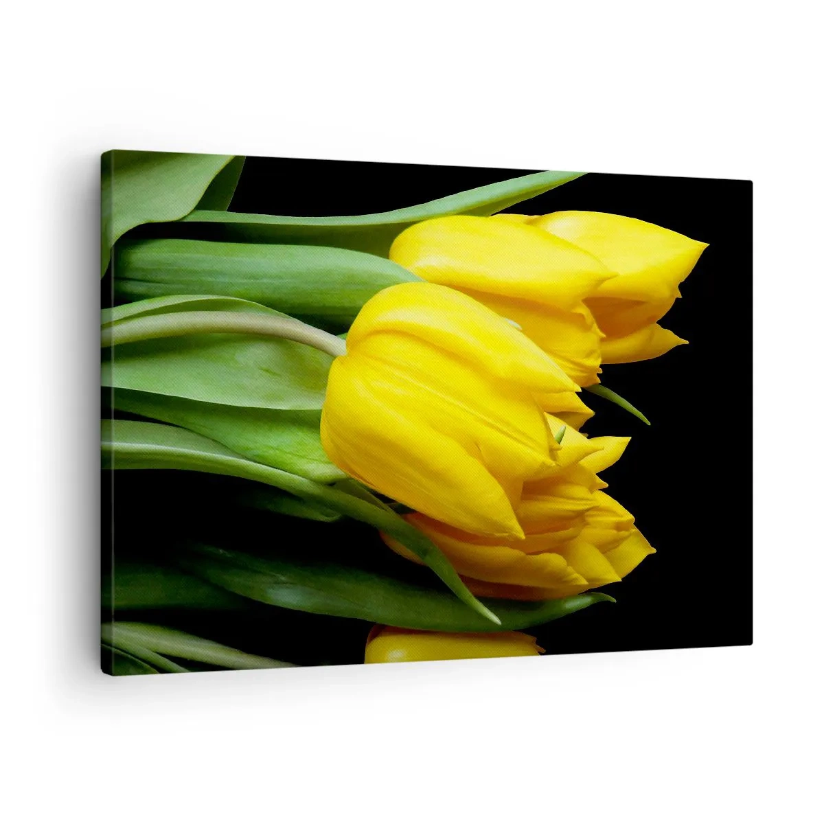 Quadro su tela - Stampe su Tela - Un mazzo di tulipani gialli su sfondo nero - 70x50cm - Fatti di puro sole - Decorazione murale moderna per soggiorno e camera da letto ARTTOR