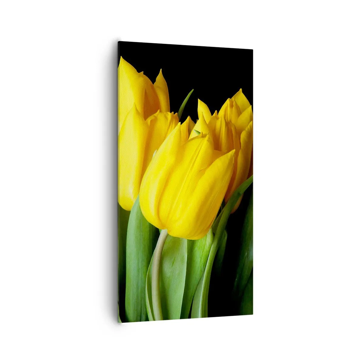 Quadro su tela - Stampe su Tela - Fatti di puro sole - 65x120 cm