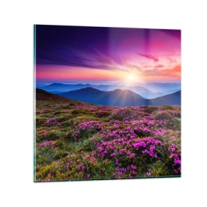 Quadro su vetro - Il profumo dei fiori freschi del campo - 40x40 cm