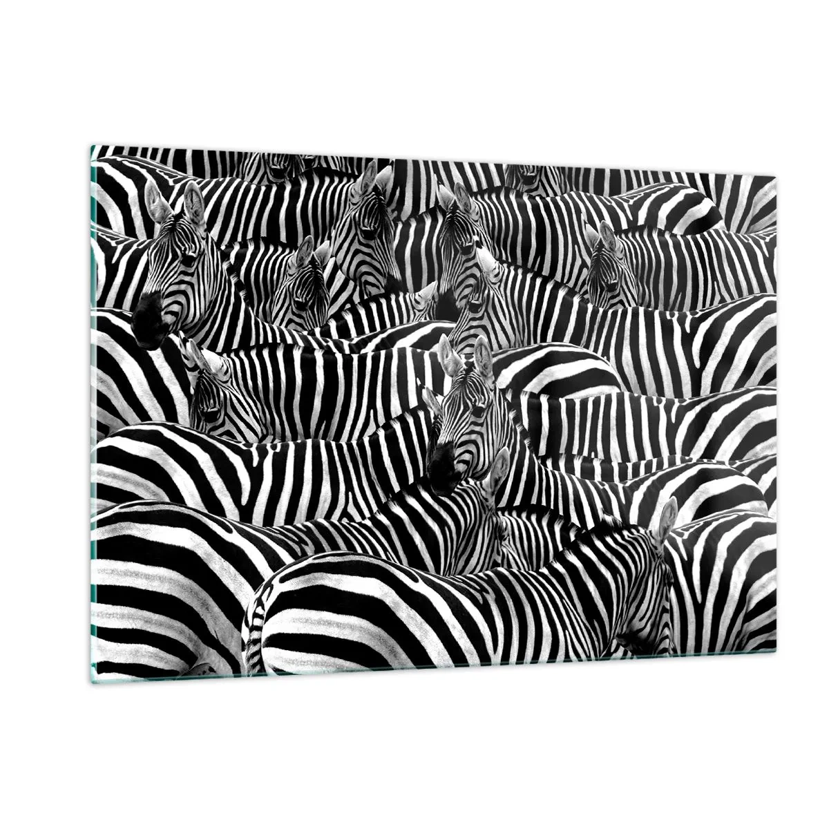 Quadro su vetro - Una mandria di zebre in bianco e nero - 120x80cm - Ritratto collettivo a strisce - Decorazione murale moderna per soggiorno e camera da letto ARTTOR