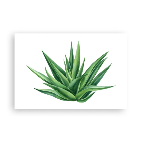 Poster - Verde - forza - vita - 91x61 cm