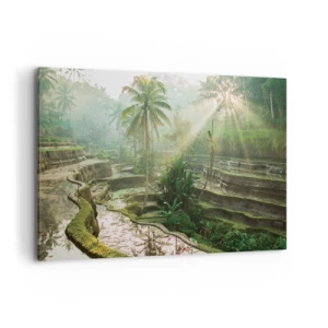 Quadro su tela - Stampe su Tela - Terrazze di riso con palme sotto i raggi del sole - 120x80cm - Crescere al sole - Decorazione murale moderna per soggiorno e camera da letto ARTTOR