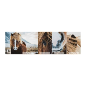 Campione di Fotomurale Adesivo Deluxe Sticker - Senti la libertà? - Cavallo, Natura, Animali - 100x30 cm