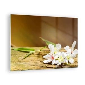 Quadro su vetro - Fiori bianchi su uno sfondo di legno in luce calda - 70x50cm - Promessa innocente - Decorazione murale moderna per soggiorno e camera da letto ARTTOR