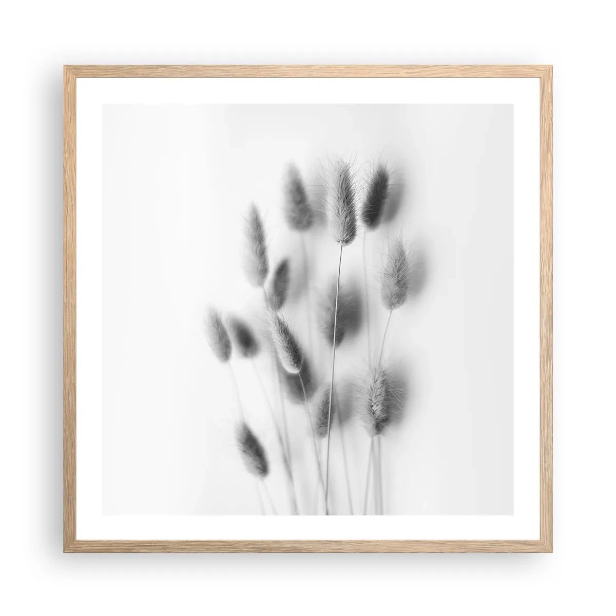 Poster in cornice rovere chiaro - Erba soffice - 60x60 cm