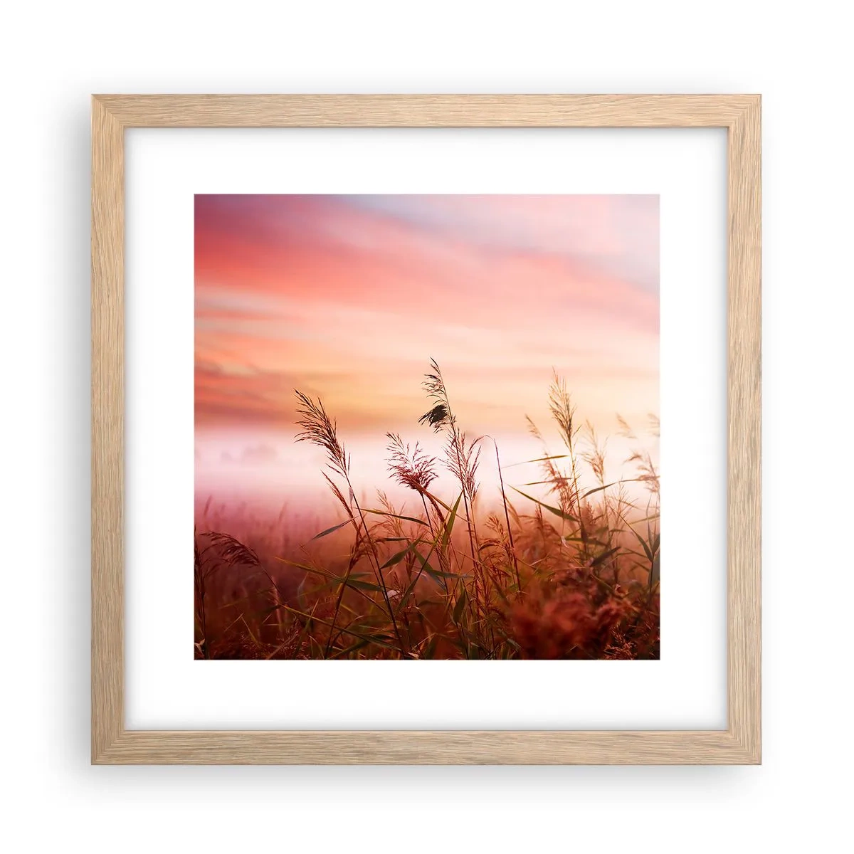 Poster in cornice rovere chiaro - Aquiloni, denti di leone, vento - 30x30 cm