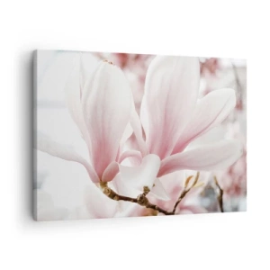 Quadro su tela - Stampe su Tela - Delicati fiori di magnolia in tonalità pastello - 70x50cm - Tenerezza senza fine - Decorazione murale moderna per soggiorno e camera da letto ARTTOR