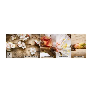 Campione di Fotomurale Adesivo Deluxe Sticker - Ed è giunta la primavera - Fiori, Ramoscello Con I Fiori, Natura - 100x30 cm