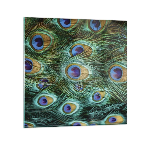 Quadro su vetro - Lo sguardo del pavone - 30x30 cm