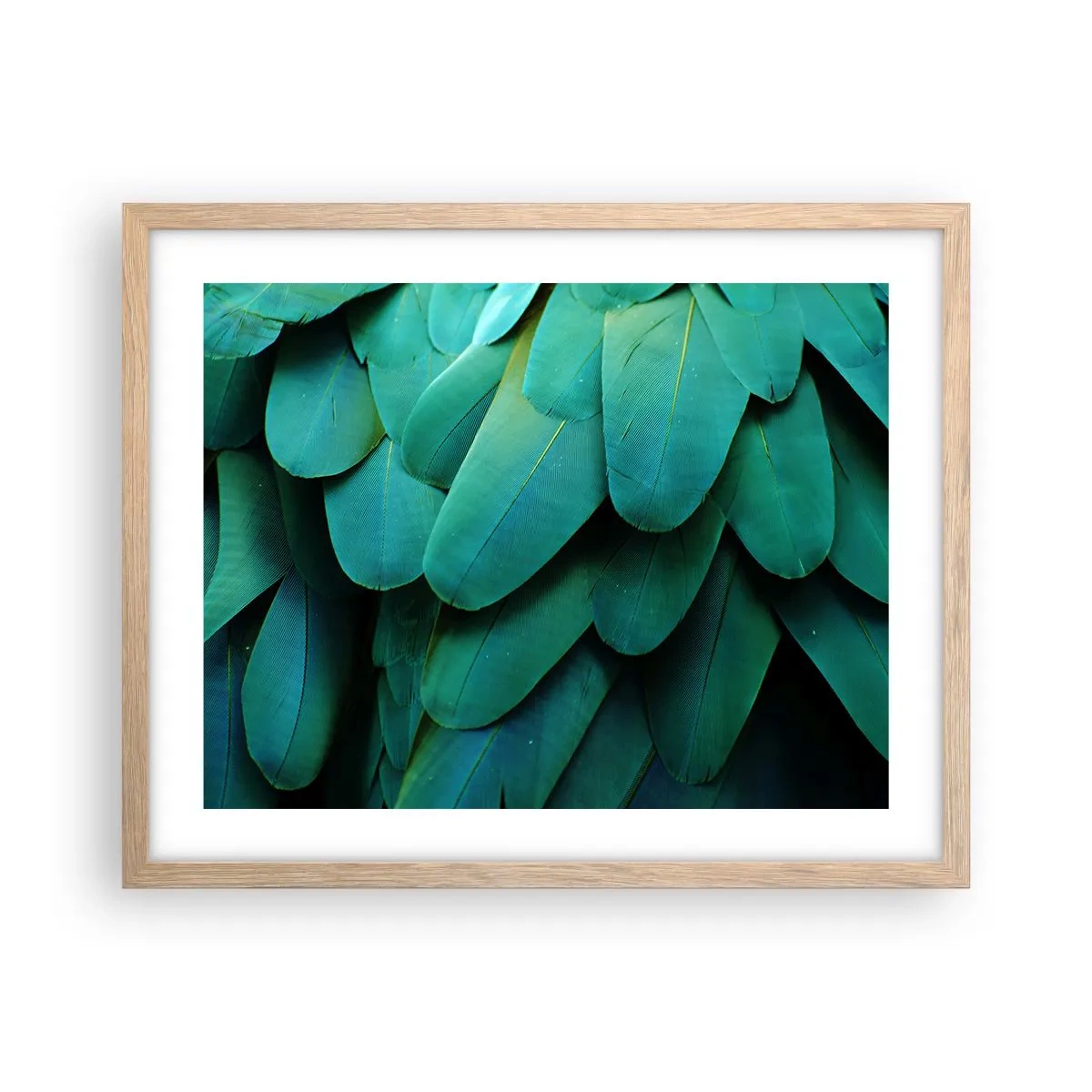 Poster in cornice rovere chiaro - Precisione da pappagallo - 50x40 cm