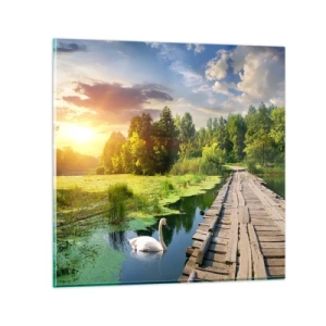 Quadro su vetro - Estate, estate ovunque - 40x40 cm