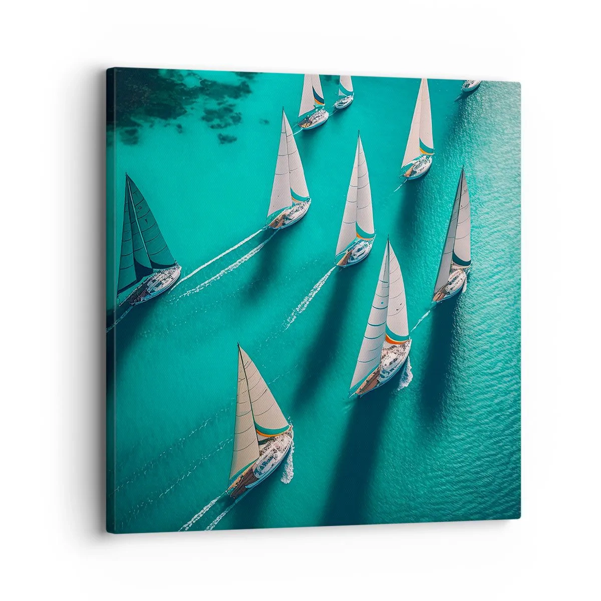 Quadro su tela - Stampe su Tela - In gara con il vento - 30x30 cm