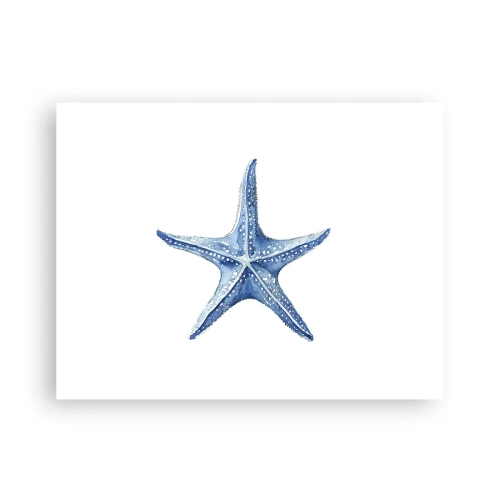 Poster - Stella marina - 40x30 cm