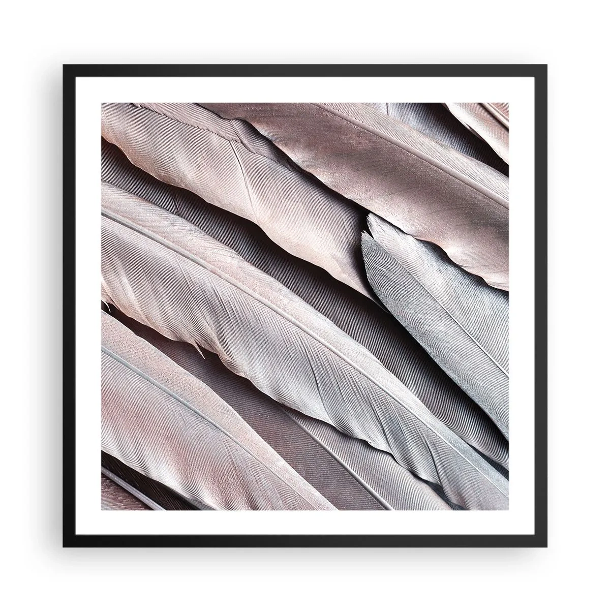 Poster in cornice nera - Argento rosato - 60x60 cm
