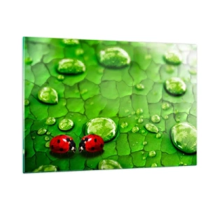 Quadro su vetro - Due coccinelle su una foglia verde con gocce d'acqua - 120x80cm - Incontro in verde - Decorazione murale moderna per soggiorno e camera da letto ARTTOR