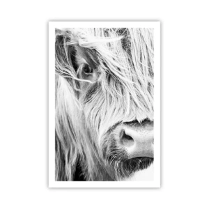 Poster - Selvaticità scozzese - 61x91 cm