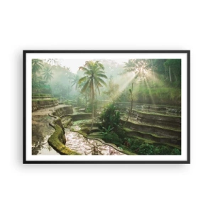 Poster in cornice nera - Crescere al sole - 91x61 cm