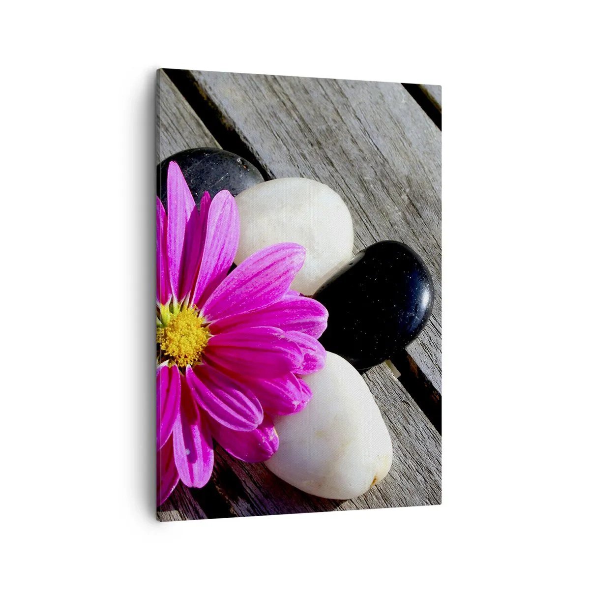 Quadro su tela - Stampe su Tela - Fiore rosa su uno sfondo di assi di legno con pietre - 50x70cm - Riposo sul molo - Decorazione murale moderna per soggiorno e camera da letto ARTTOR