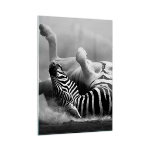 Quadro su vetro - Una zebra sdraiata nella savana africana - 50x70cm - Morire dal ridere - Decorazione murale moderna per soggiorno e camera da letto ARTTOR