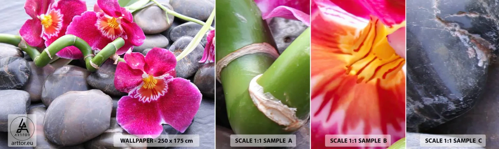 Campione Di Fotomurale Standard Eco - Fresco e calore - Fiori, Pietre, Orchidea - 100x30 cm