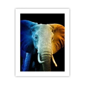 Poster - Eccentrico, non strano - 40x50 cm