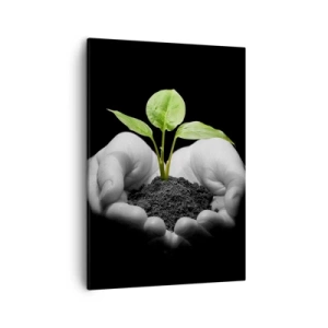 Quadro su tela - Stampe su Tela - Mani che tengono una pianta verde su uno sfondo nero - 50x70cm - Amo la natura, la proteggo - Decorazione murale moderna per soggiorno e camera da letto ARTTOR