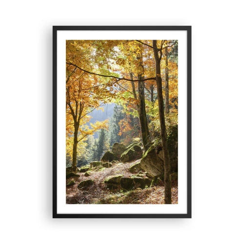 Poster in cornice nera - Foresta autunnale con raggi di sole e pietre coperte di muschio - 50x70cm - Il tempo del riposo - Decorazione murale moderna per soggiorno e camera da letto ARTTOR