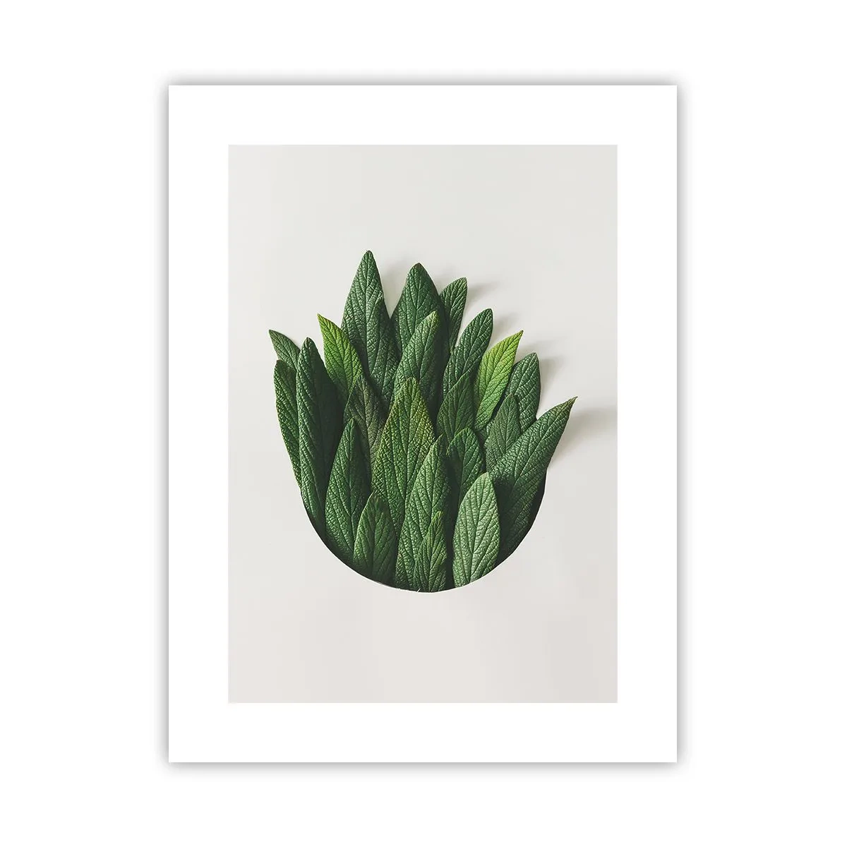 Poster - Curiosità irrefrenabile - 30x40 cm