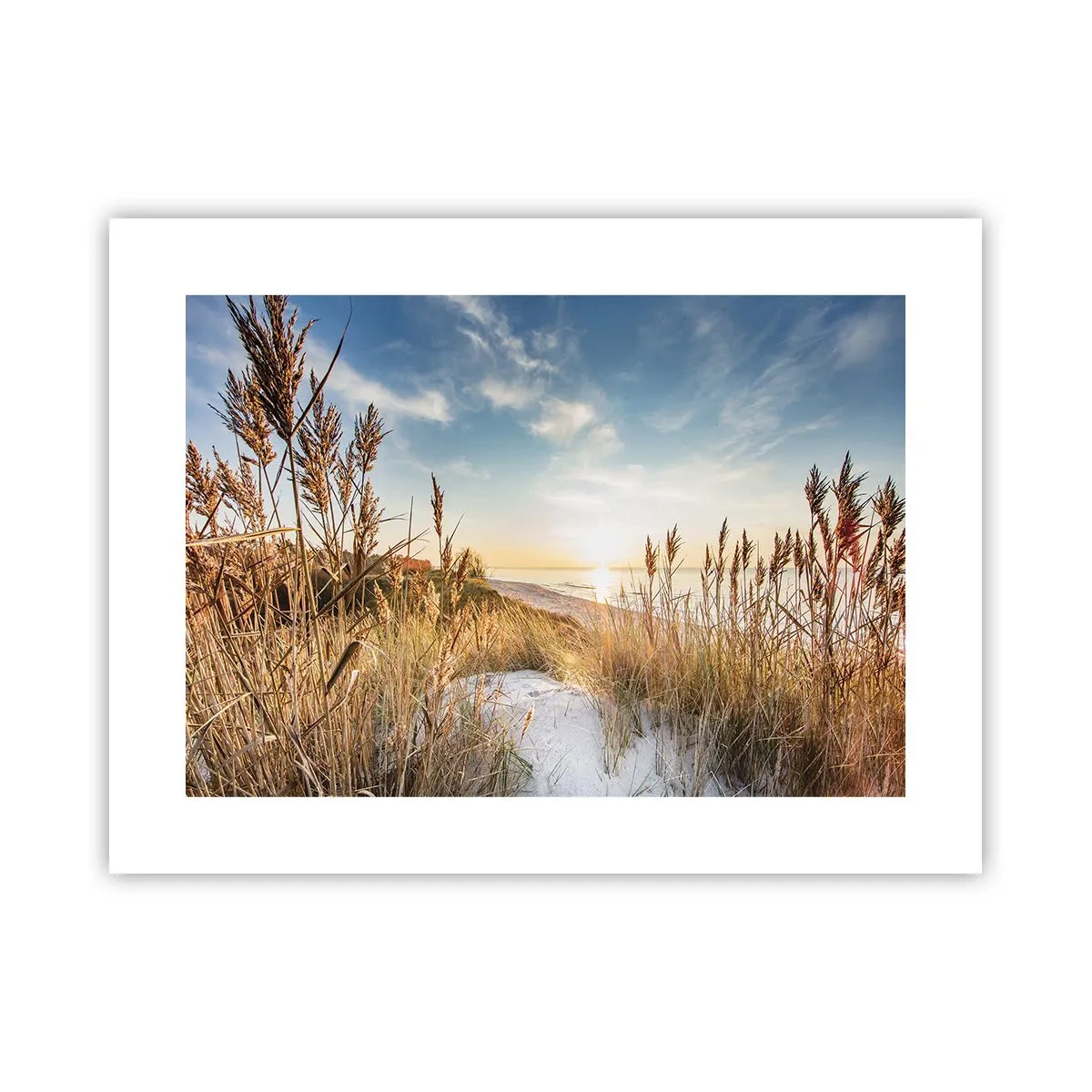 Poster - Spiaggia del nord - 40x30 cm