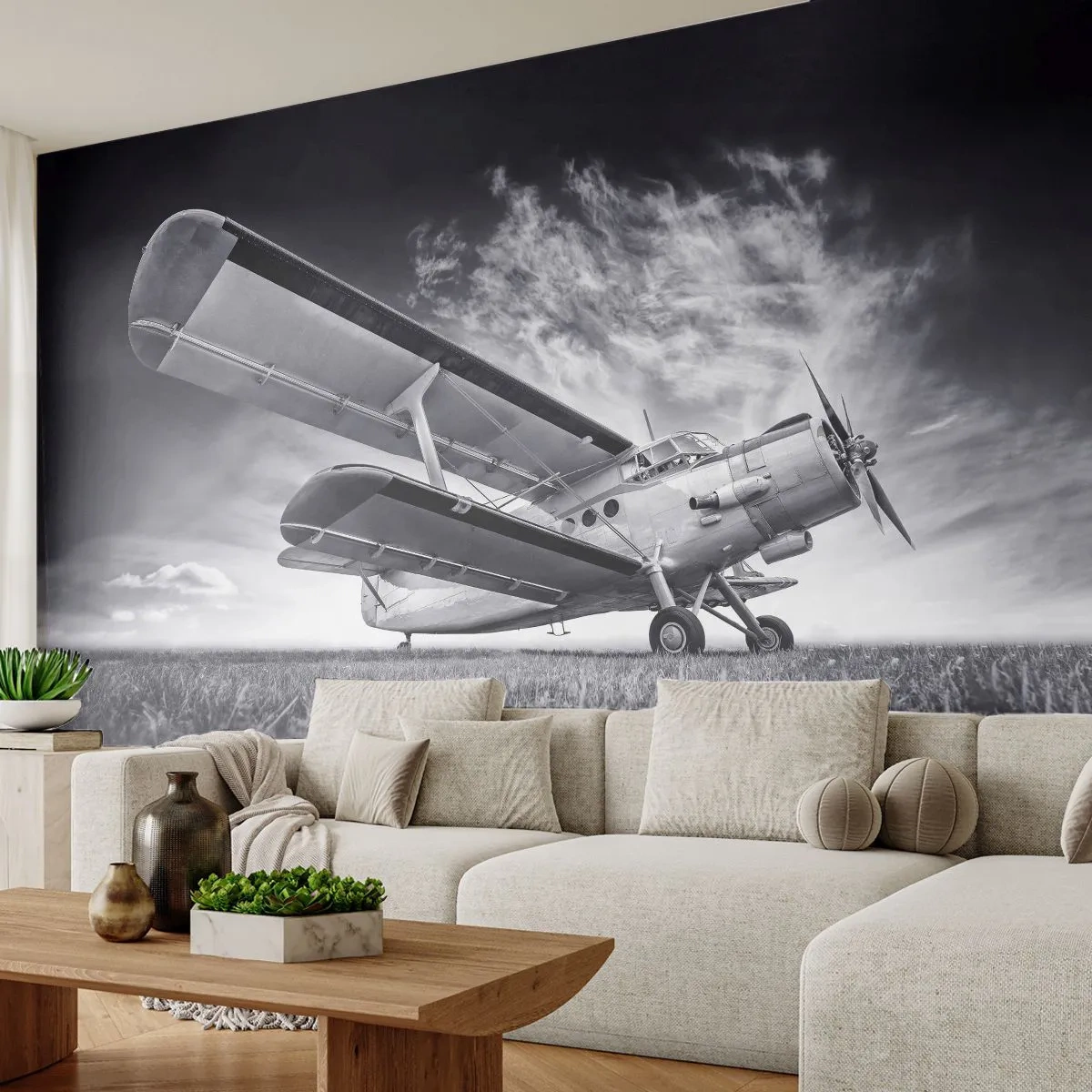 Fotomurali Premium Canvas - Giramondo alato - Aereo, Aereo, Bianco e nero - 350x256 cm
