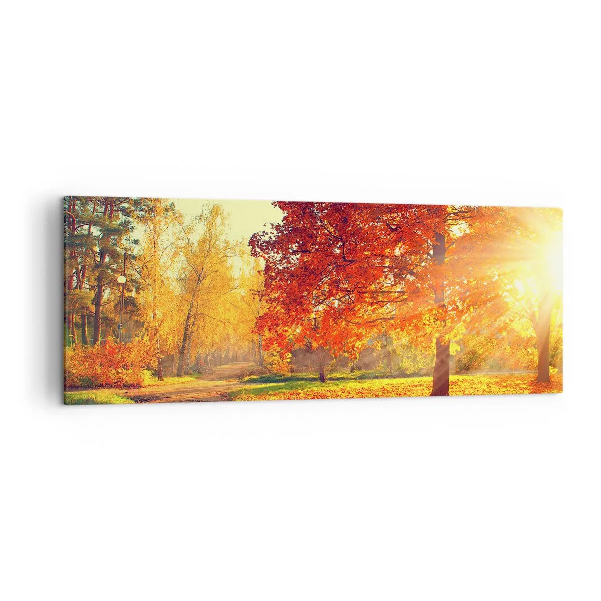 Quadro su tela - Stampe su Tela - Parco autunnale illuminato dalla luce del sole - 140x50cm - Rosso è bello - Decorazione murale moderna per soggiorno e camera da letto ARTTOR