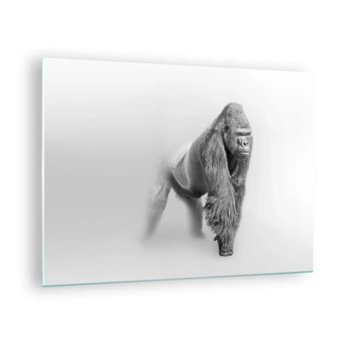 Quadro su vetro - Ritratto in bianco e nero di un maestoso gorilla su sfondo bianco - 70x50cm - Sicuro della propria forza - Decorazione murale moderna per soggiorno e camera da letto ARTTOR