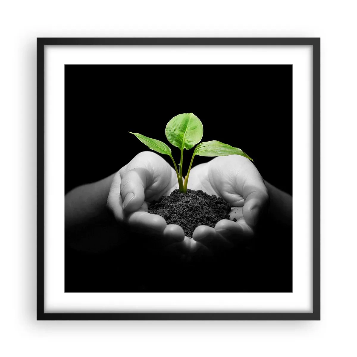 Poster in cornice nera - Amo la natura, la proteggo - 50x50 cm