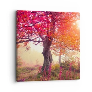 Quadro su tela - Stampe su Tela - L'esplosione della fioritura - 40x40 cm