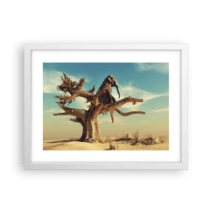 Poster in cornice bianca - Nuovo punto di vista - 40x30 cm