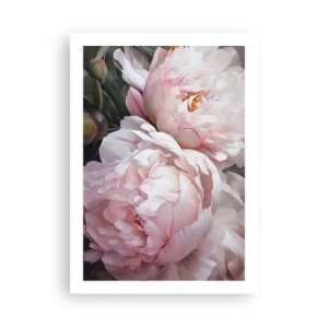 Poster - Delicate peonie nei toni pastello del rosa e del bianco - 50x70cm - L'attimo della fioritura - Decorazione murale moderna per soggiorno e camera da letto ARTTOR