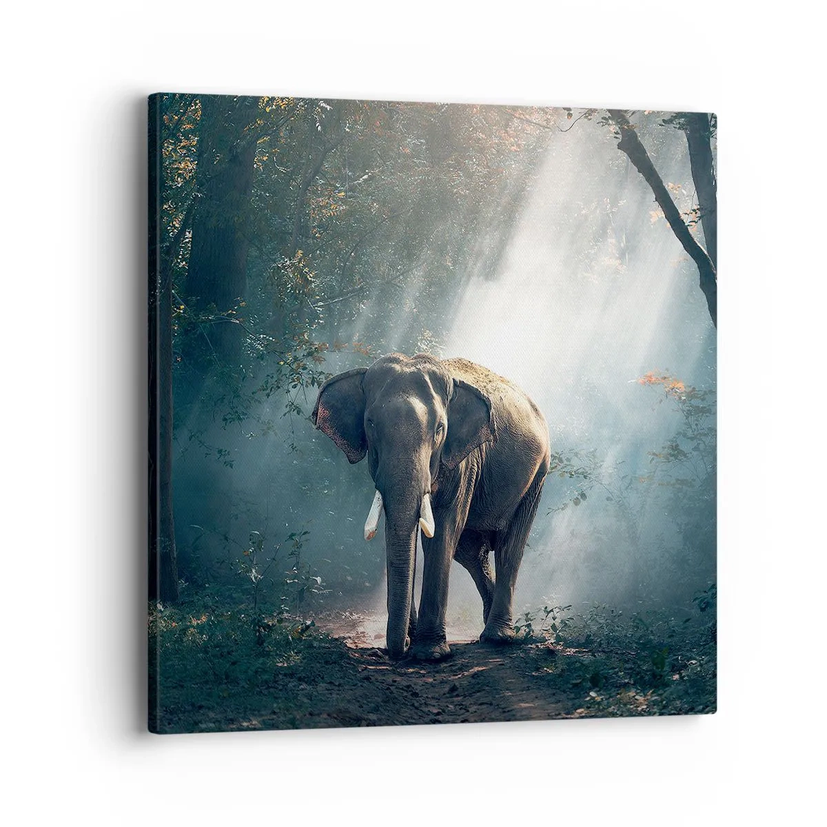 Quadro su tela - Stampe su Tela - Tranquilla passeggiata - 40x40 cm