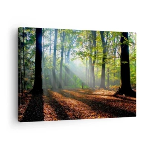 Quadro su tela - Stampe su Tela - Una radura della foresta illuminata dai raggi del sole - 70x50cm - Luci e ombre - Decorazione murale moderna per soggiorno e camera da letto ARTTOR