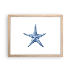 Poster in cornice rovere chiaro - Stella marina - 40x30 cm