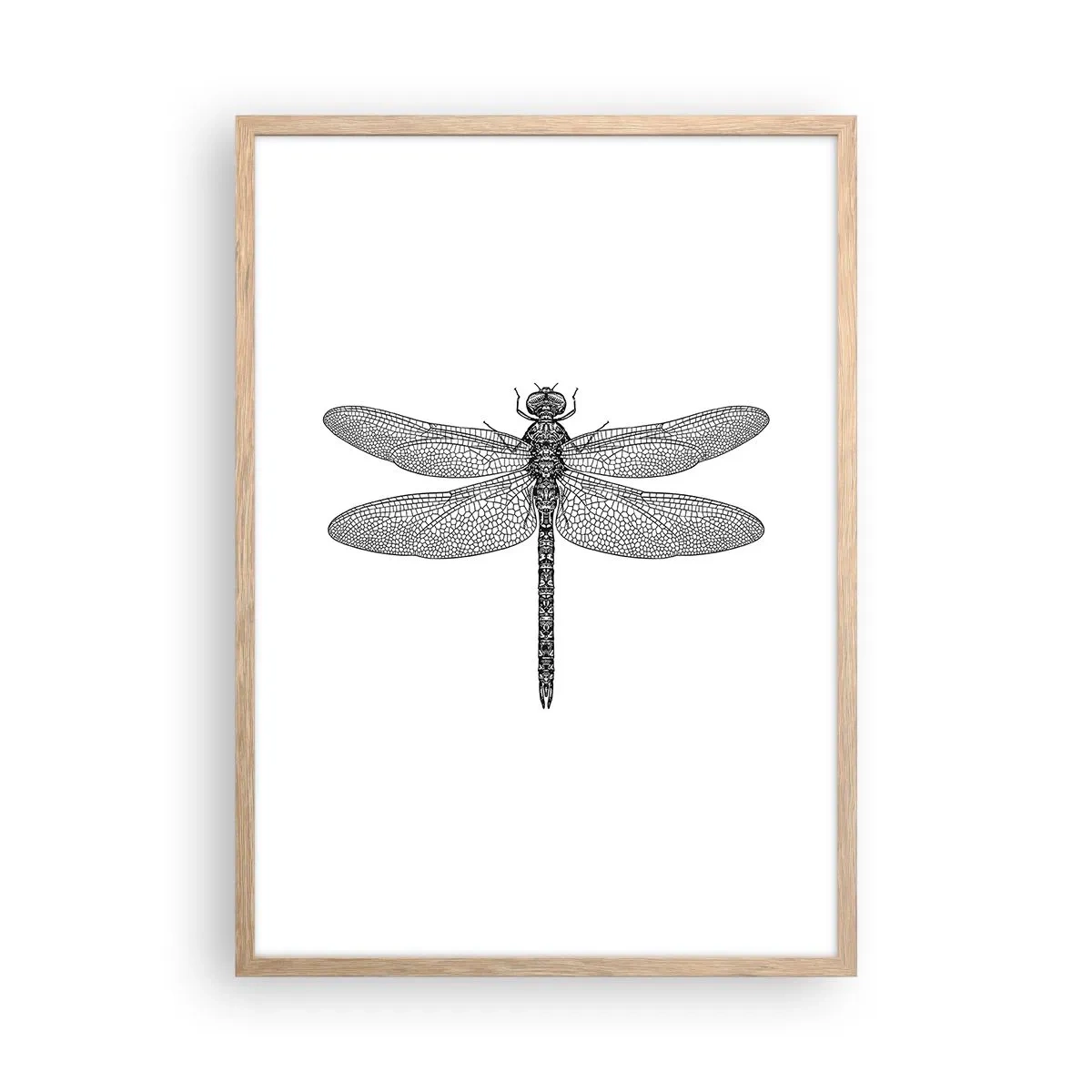 Poster in cornice rovere chiaro - La precisione della natura - 50x70 cm