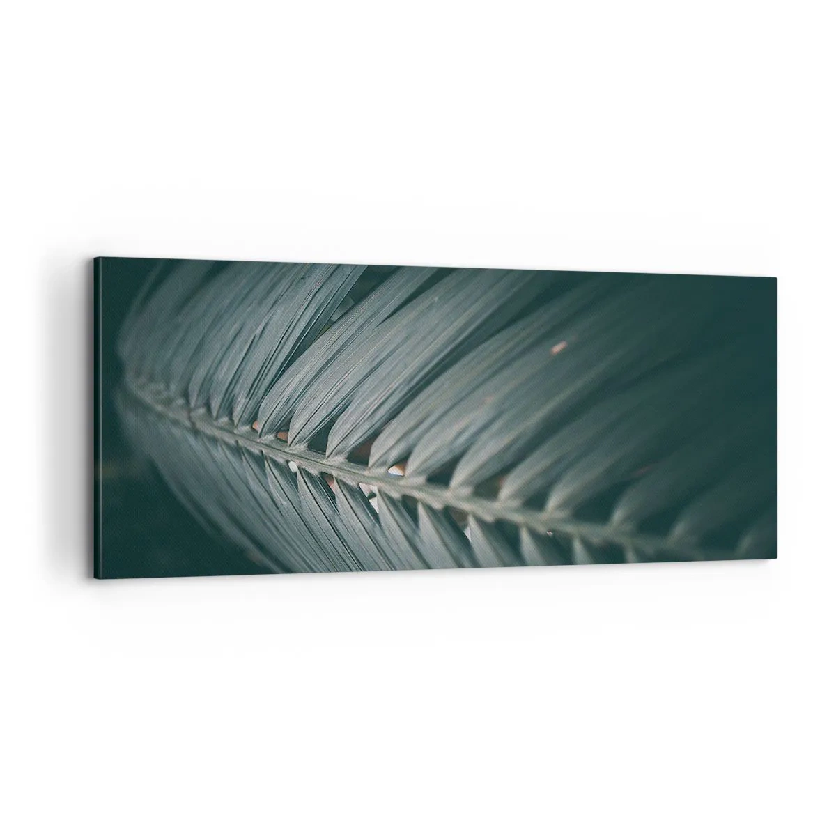 Quadro su tela - Stampe su Tela - La precisione della natura - 100x40 cm