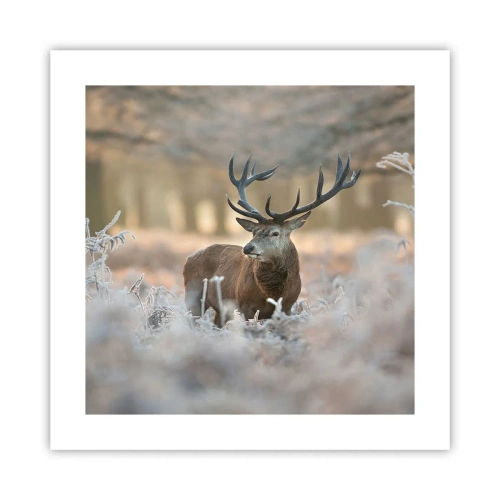 Poster - Fresco mattino - 40x40 cm