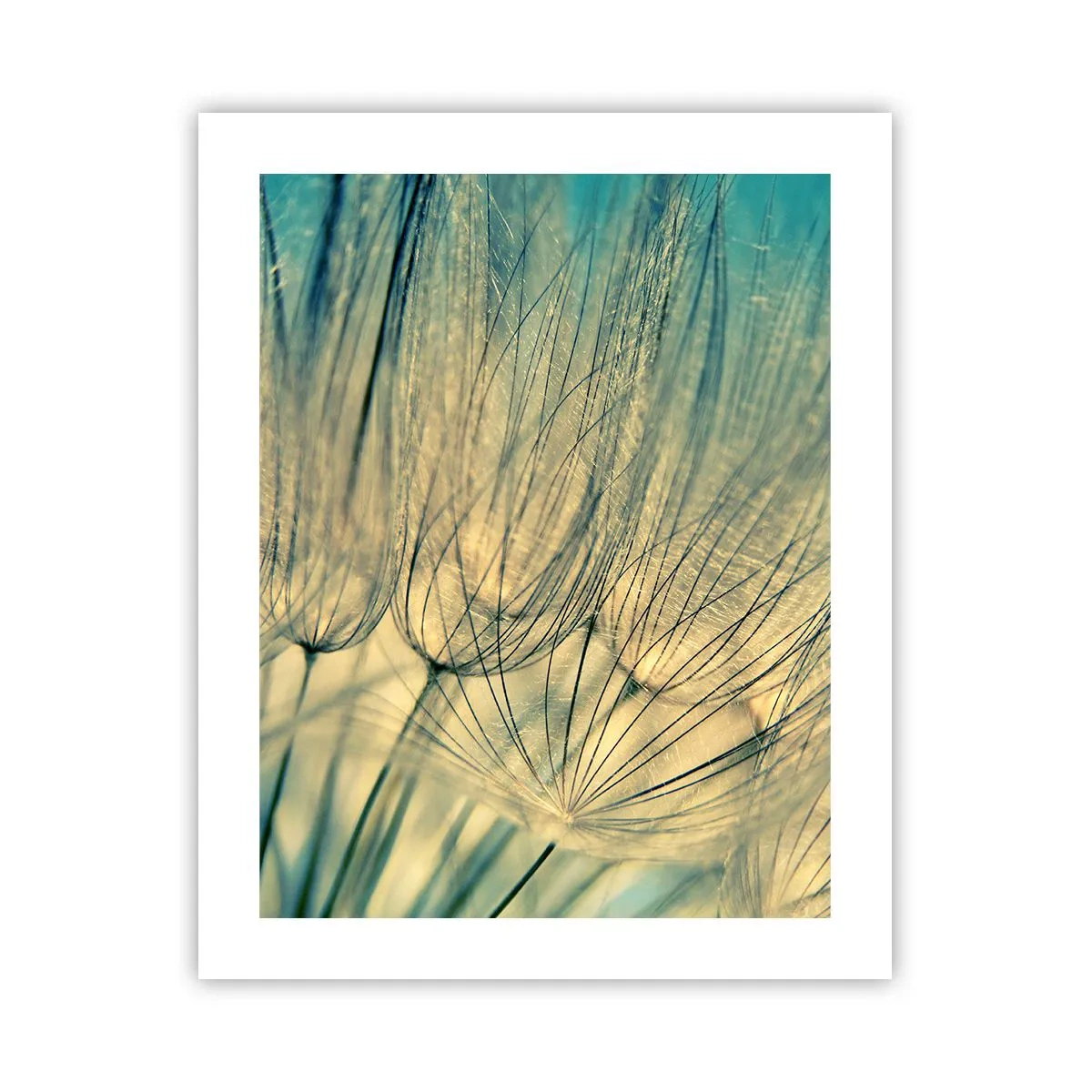 Poster - Aspettando il vento - 40x50 cm